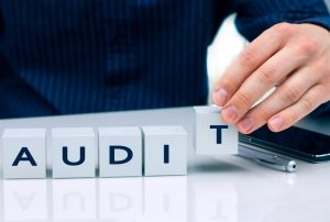 Auditors And Financial Advisors