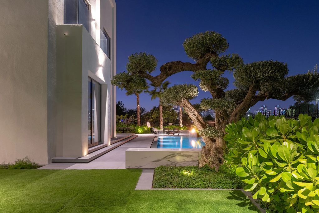 How A Professional Pool Company Manages Your Design
